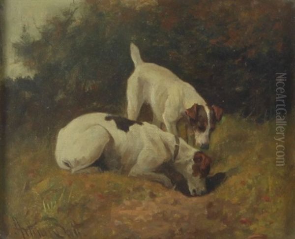 Terriers - view 1
