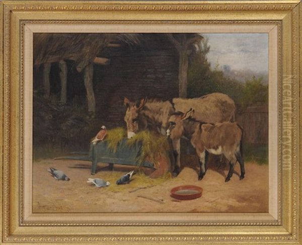 Donkeys And Pigeons Share Hay - view 1