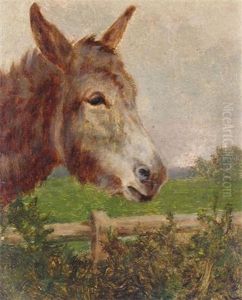 A New Forest Donkey