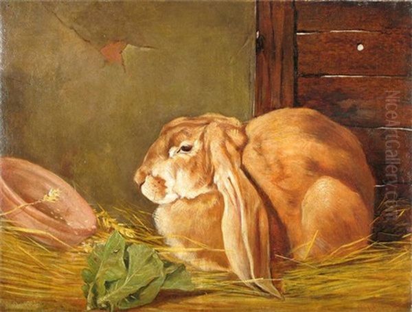 Lop-eared Rabbit In A Stable - view 1