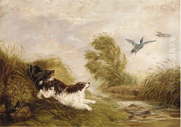 Spaniels Flushing Out Ducks - view 1