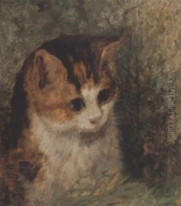Study Of A Kitten by Arthur Batt