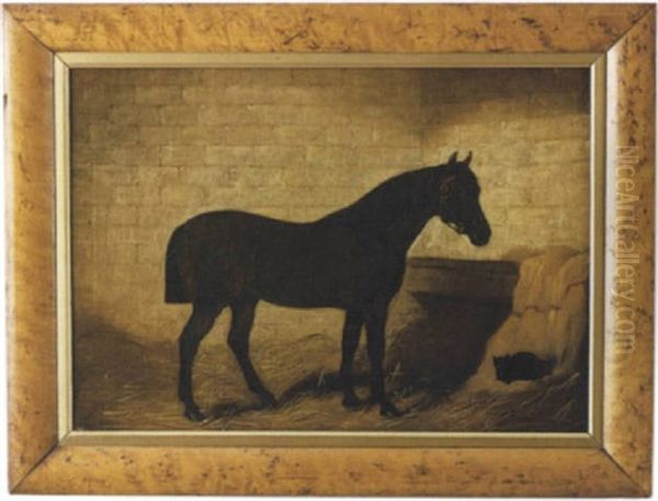 Portrait Of A Horse In His Stall With Black Cat Nestled In The Hay Beside Him - view 1