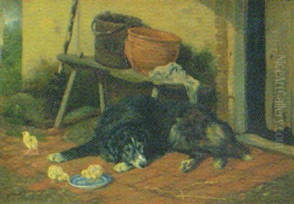 Gardsinterior Med Vilande Hund Och Kycklingar - view 1