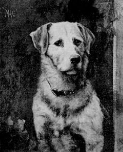 "mac" by Arthur Batt