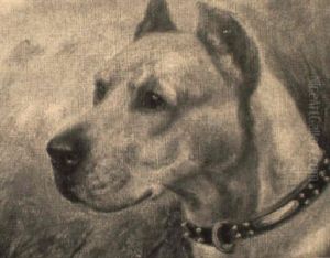 The Champion Boarhound 'emma Of Redgrave' by Arthur Batt