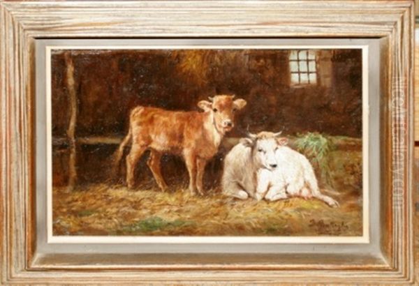 Cows - view 1