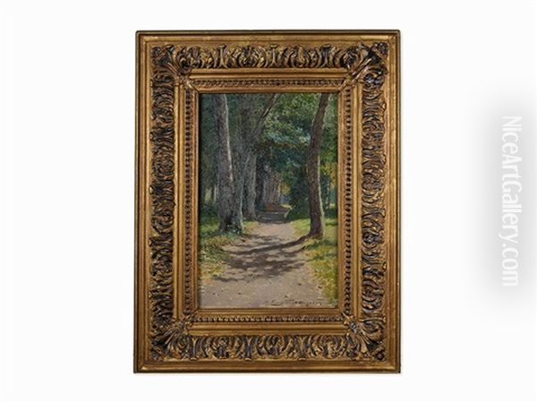 Forest Path - view 1