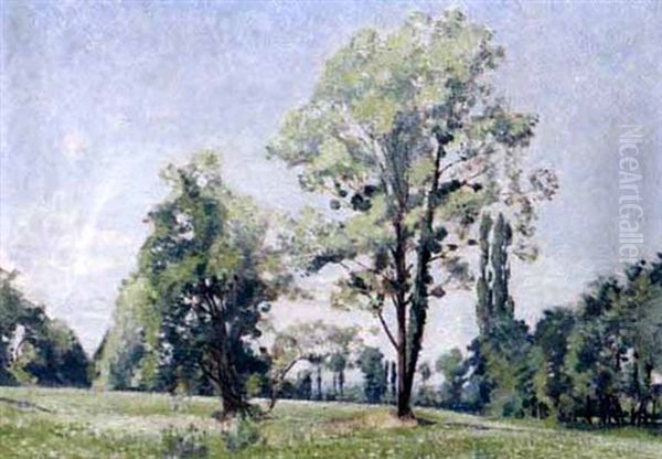 Landschaft Bei Cointrin - view 1