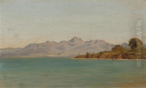 Vue Du Lac En Direction De Lausanne - view 1