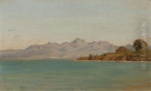 Vue Du Lac En Direction De Lausanne