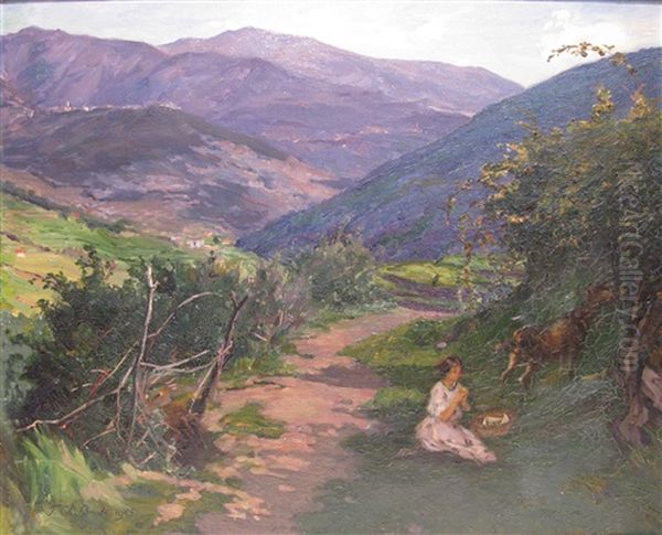 Chemin Borde De Ronces A Maro Castello - view 1