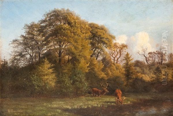 Deers By The Edge Of The Wood - view 1