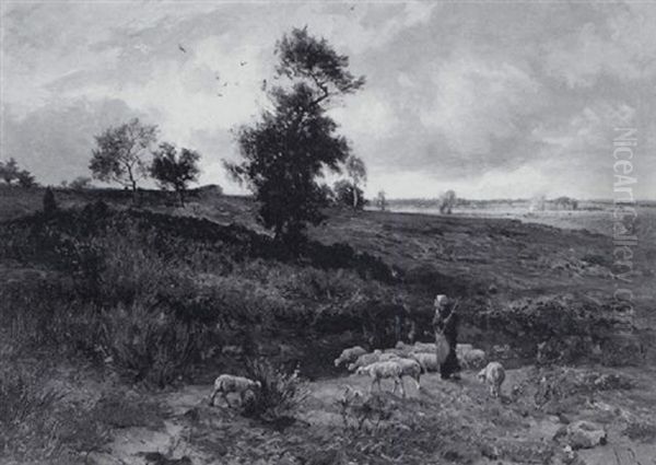 Pasture On The Landes - view 1