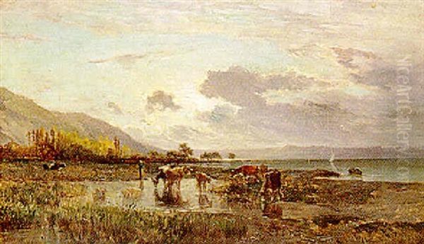 Paysage - view 1