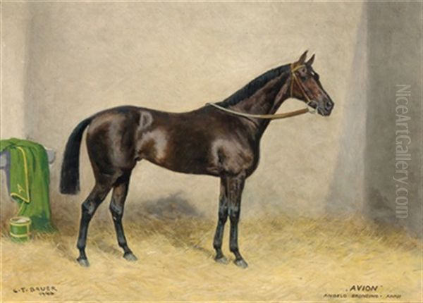 Avion, Angelo Bronzino-anni - view 1