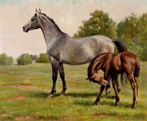 Stute Mit Fohlen by Carl Franz Bauer