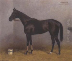 "szerencs", A Dark Brown Racehorse In A Stable