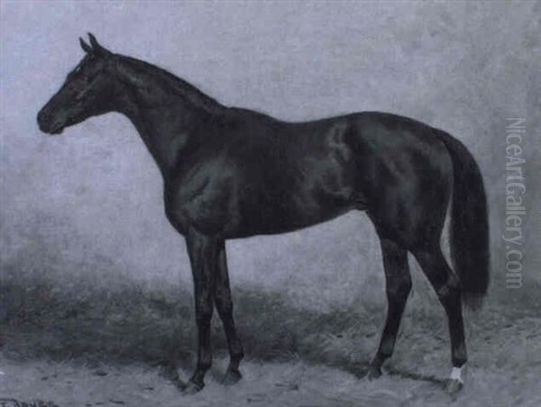 Das Pferd Simplicissimus V. Kokorosarika Ii - view 1