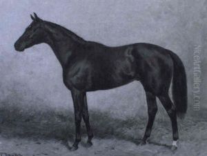 Das Pferd Simplicissimus V. Kokorosarika Ii Das Pferd Simplicissimus V. Kokorosarika Ii
