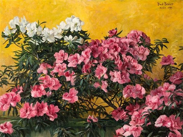 Oleander - view 1