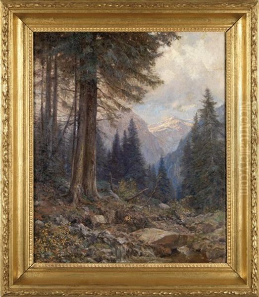 Waldlichtung - view 1