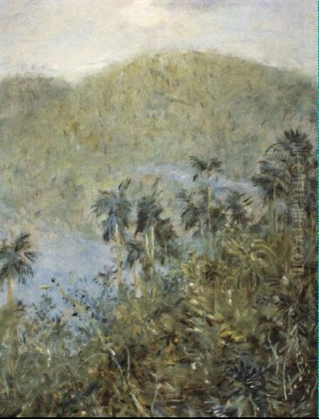 Berglandschap Te Sabang - view 1