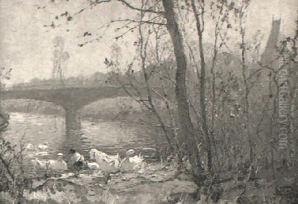 Enten An Der Isar - view 1