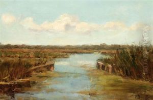 Polder Landscape