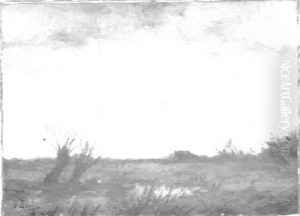 Moor Landscape