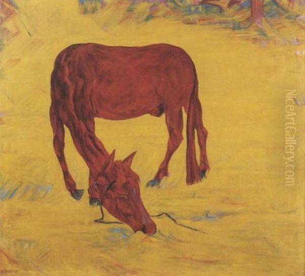 Pferd Im Freiheit - view 1