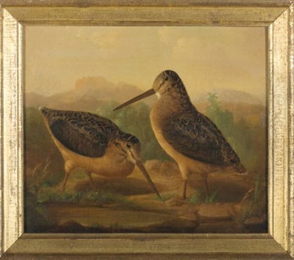 Sandpipers (+another; Pair) - view 1