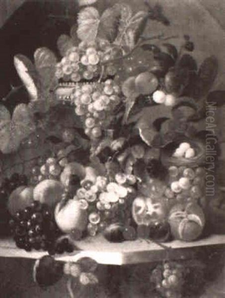 Still Life With Fruit And Bird's Nest - view 1