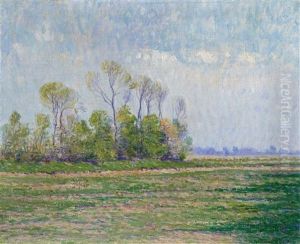Weite Landschaft Bei Knokke