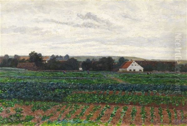 Im Dachauer Moos (gemusefelder Vor Einem Gehoft In Weiter Dachauer Landschaft) - view 1