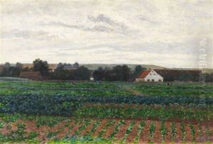 Im Dachauer Moos (gemusefelder Vor Einem Gehoft In Weiter Dachauer Landschaft) by Paul Baum