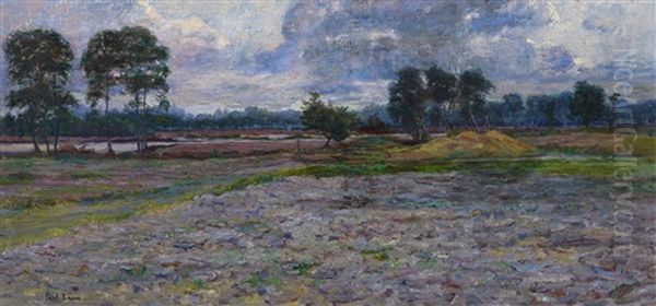 Weite Landschaft Mit Baumen Und Bachlauf - view 1