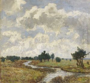 Sonnig-wolkiger Himmel Uber Moorigen Wiesen Mit Bachlauf