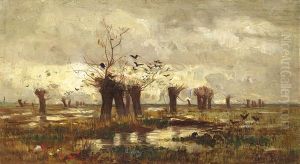Moorlandschaft Mit Kopfweiden