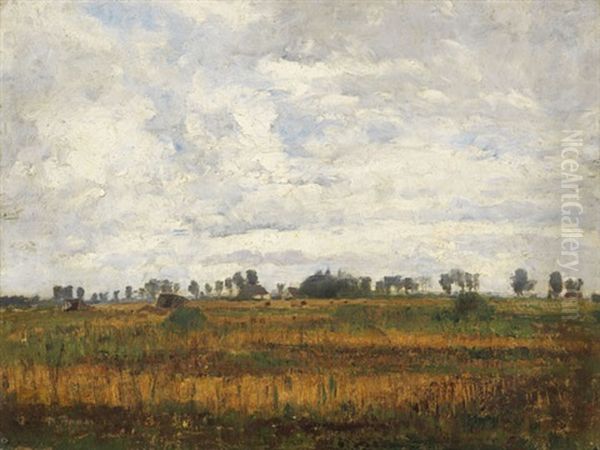 Moorlandschaft Bei Dachau - view 1