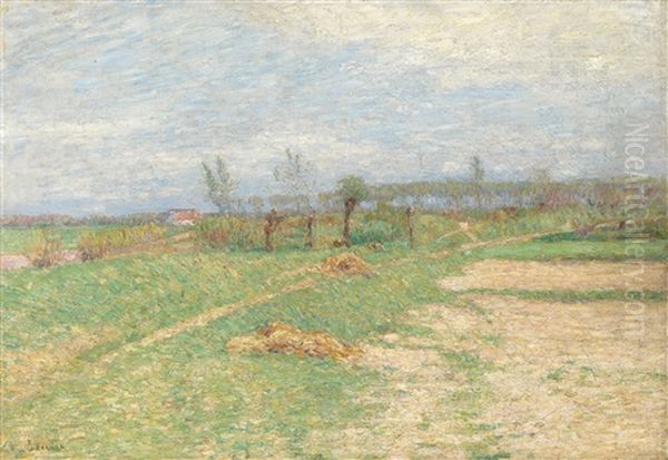 Fuspfad Am Rasenhang In Sandiger Wiesenlandschaft, Haus Und Allee In Der Ferne - view 1