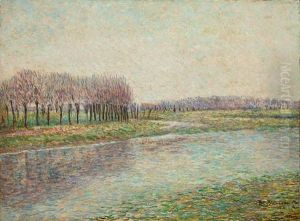 Fluss Mit Weiden