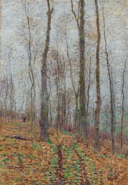 Waldweg Bei Goppeln Im Vorfruhling - view 1