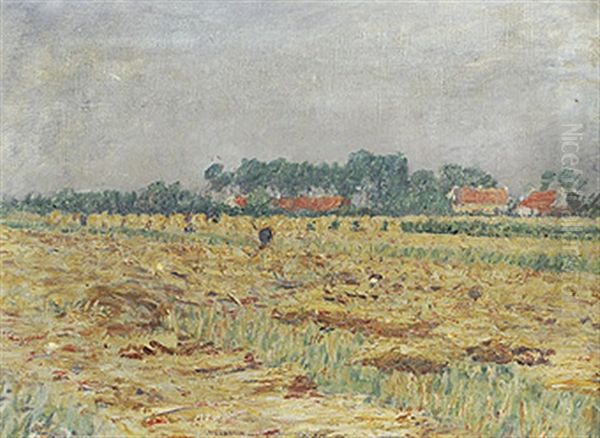 Sommerliche Landschaft Bei Knokke Sur Mer - view 1