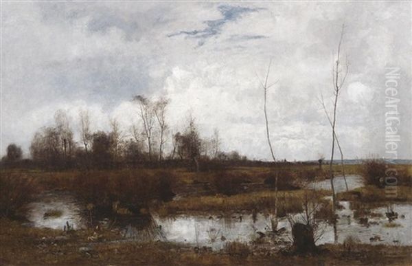 Vorfruhling: Landschaft Bei Niedergrunstedt - view 1