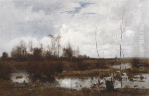 Vorfruhling - Landschaft Bei Niedergrunstedt