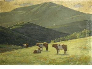Mount Tamalpais by John Jay Baumgartner