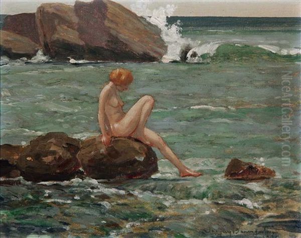 Nude Seated On Rocks In Ocean Landscape - view 1