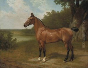 Lord Bingley's Hunter In A Wooded River Landscape