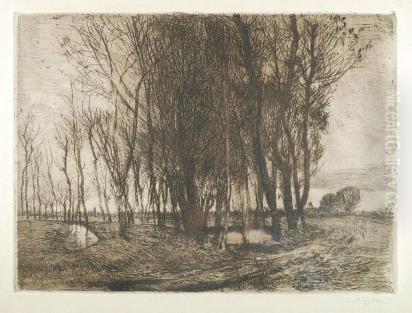 Alberi In Pianura - view 1
